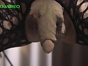 ROKO VIDEO-erect clitor